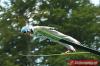 128 Kamil Stoch